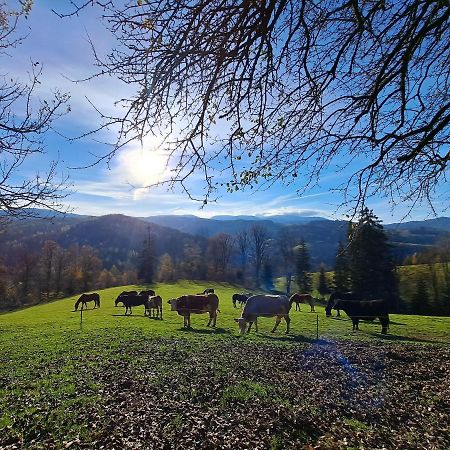 Апартаменты Erlebnisbauernhof Gutschi Ranch Камп Экстерьер фото