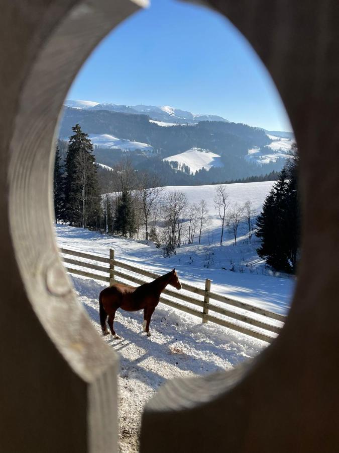 Апартаменты Erlebnisbauernhof Gutschi Ranch Камп Экстерьер фото